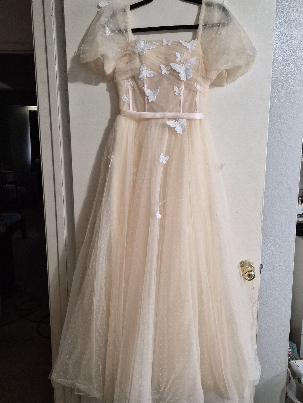 Butterfly Appliqué Tulle Gown in Soft Cream